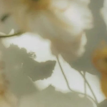 About Ethereal Body